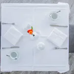 Spreezeit 3*