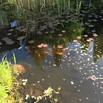 Spreezeit 3*