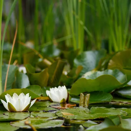 Spreezeit فندق 3*