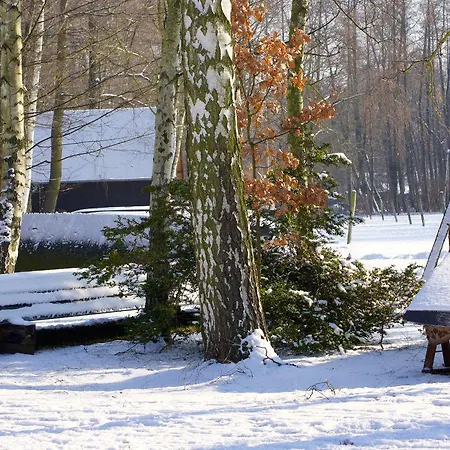 Spreezeit 3* לובנאו