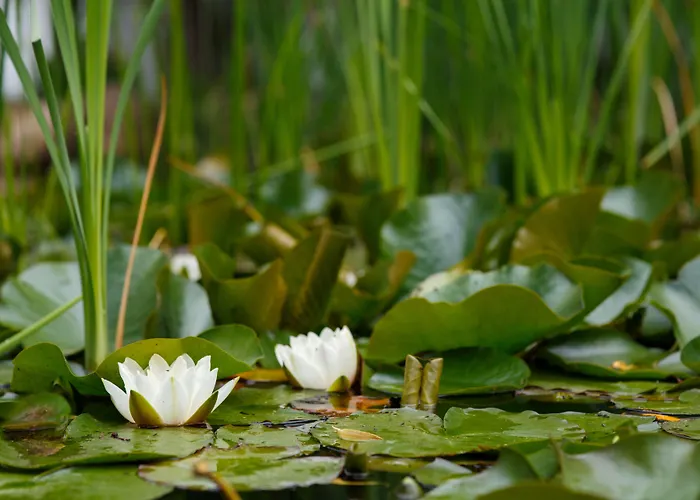 Spreezeit Szálloda 3*